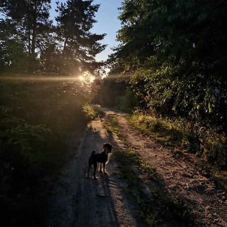 Dom wakacyjny Dom wakacyjny Nadkole