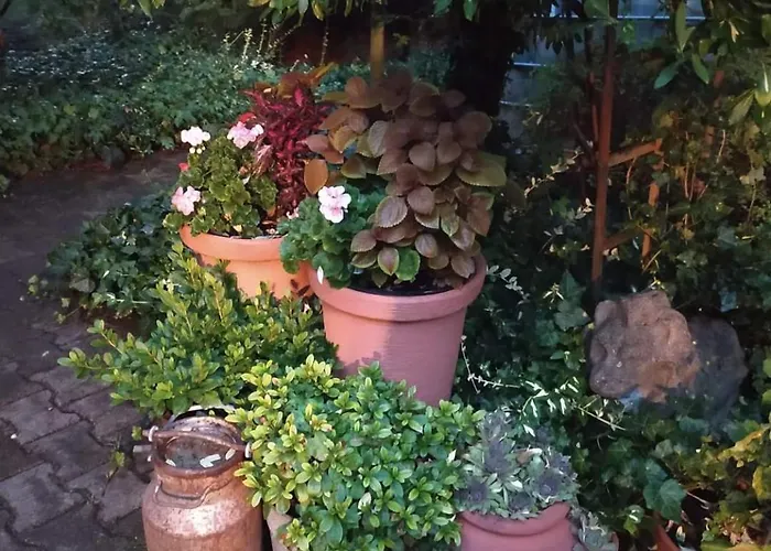 Dom wakacyjny Nadkole