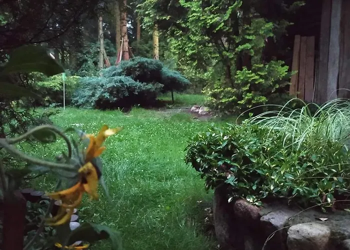 Dom wakacyjny Dom wakacyjny