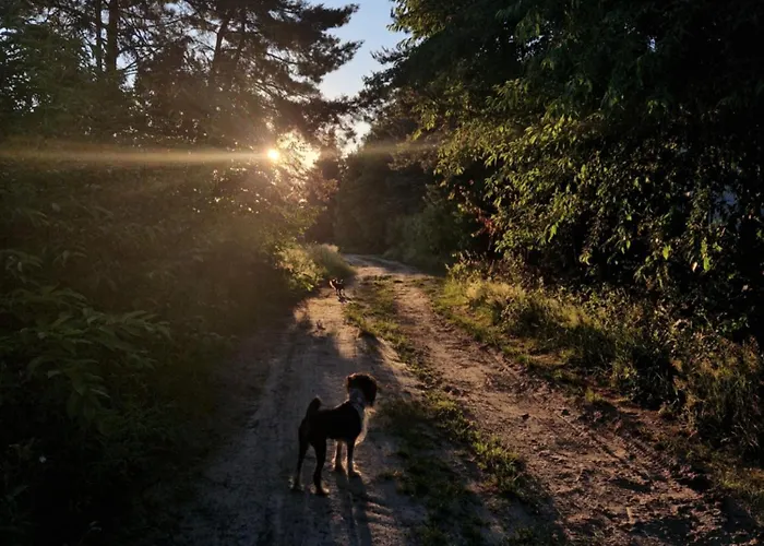 Dom wakacyjny Dom wakacyjny Nadkole