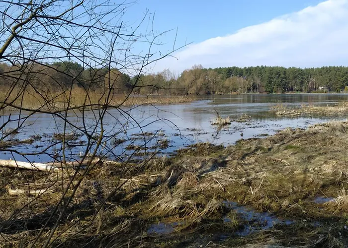 Dom wakacyjny Dom wakacyjny