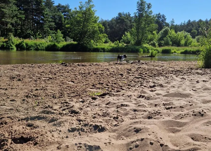 Dom wakacyjny Dom wakacyjny